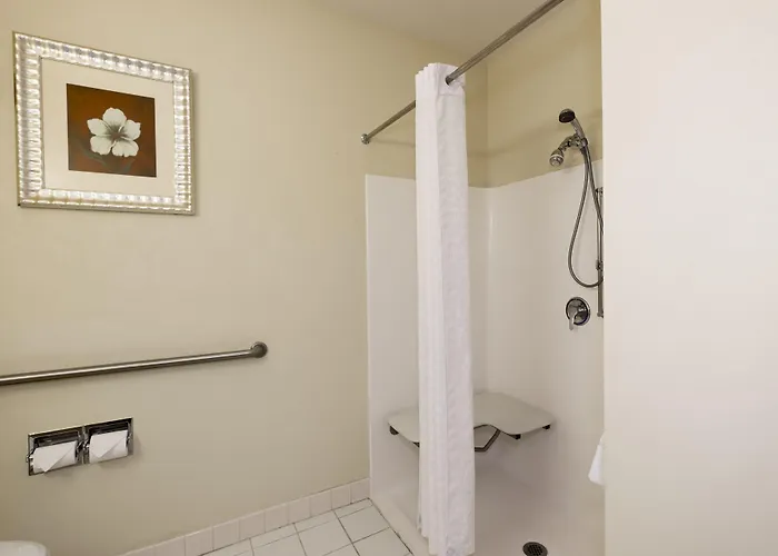 Express & Chicago - By Ihg 3* Matteson