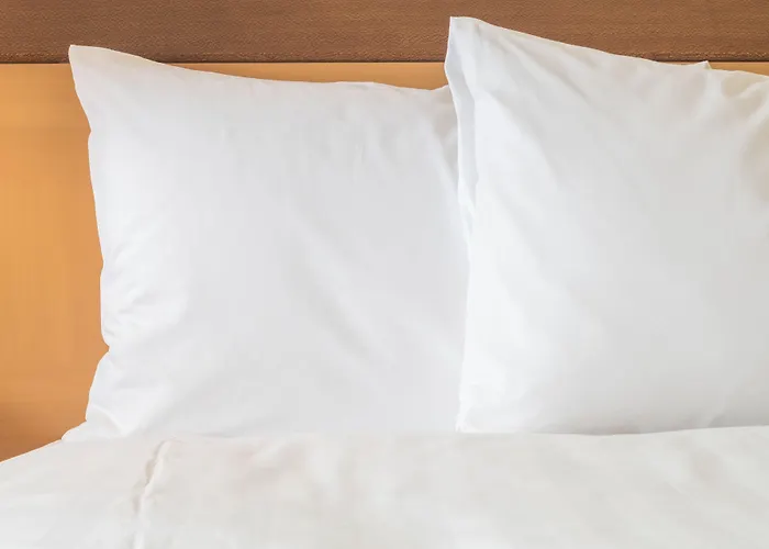 Hotel Express & Chicago - By Ihg 3*